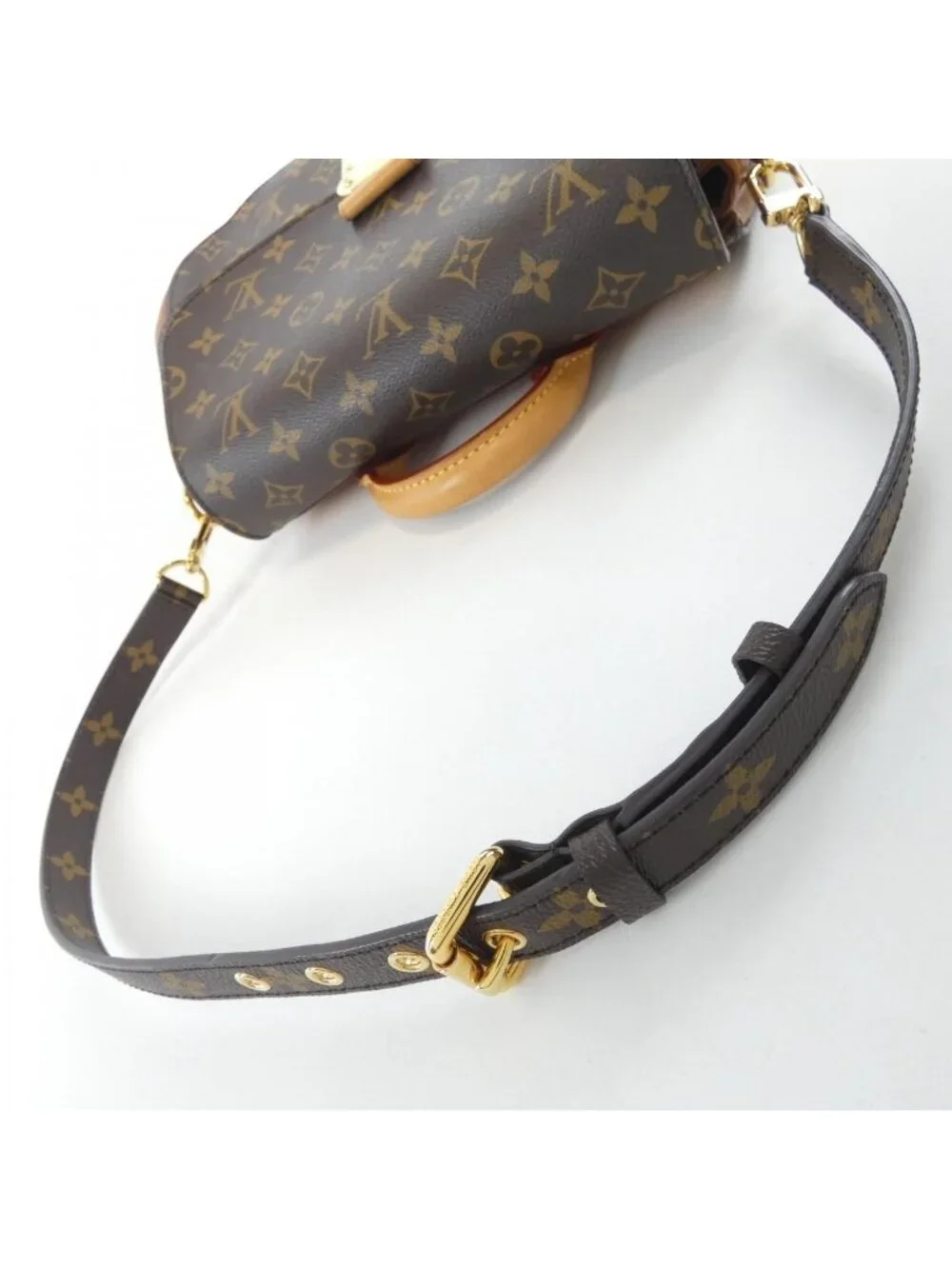 Louis Vuitton Monogram Eden MM Bag